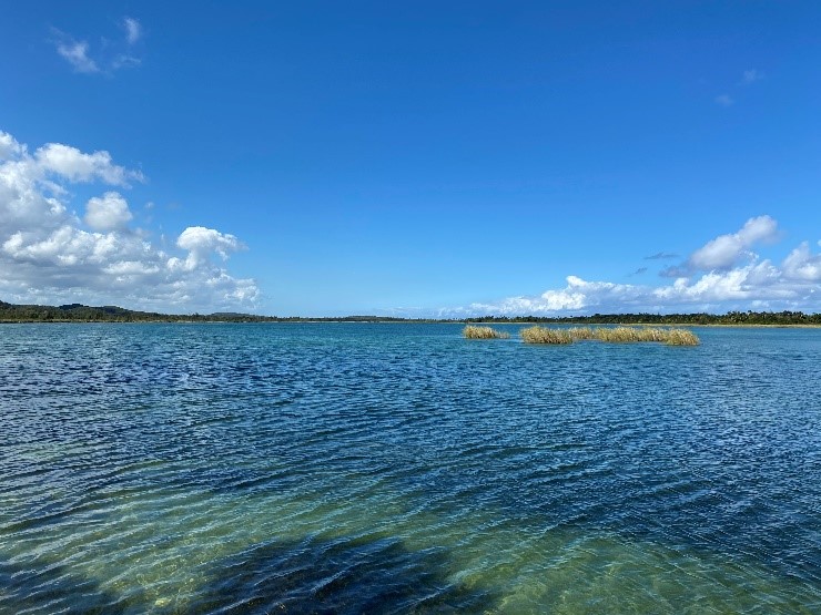 Puerto Rico Waters